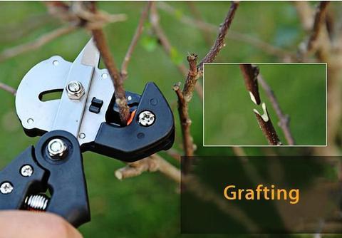 Garden Fruit Tree Pro Pruning Shears Scissor Grafting Cutting Tool  2 Blade Garden Tools Set Pruner Tree Cutting Tool