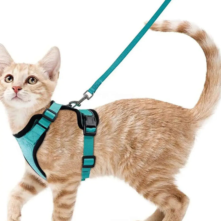 Cat Harness and Leash for Walking, Escape Proof Soft Adjustable Vest Harnesses for Cats, EasyControl