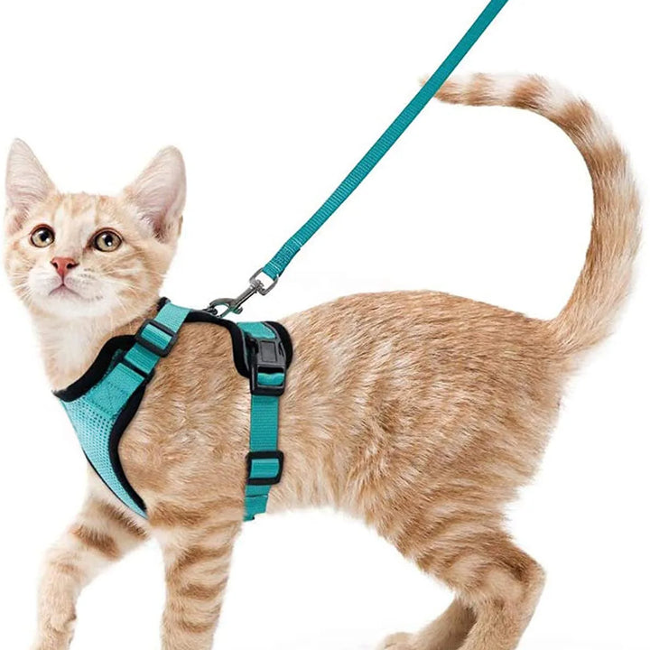 Cat Harness and Leash for Walking, Escape Proof Soft Adjustable Vest Harnesses for Cats, EasyControl