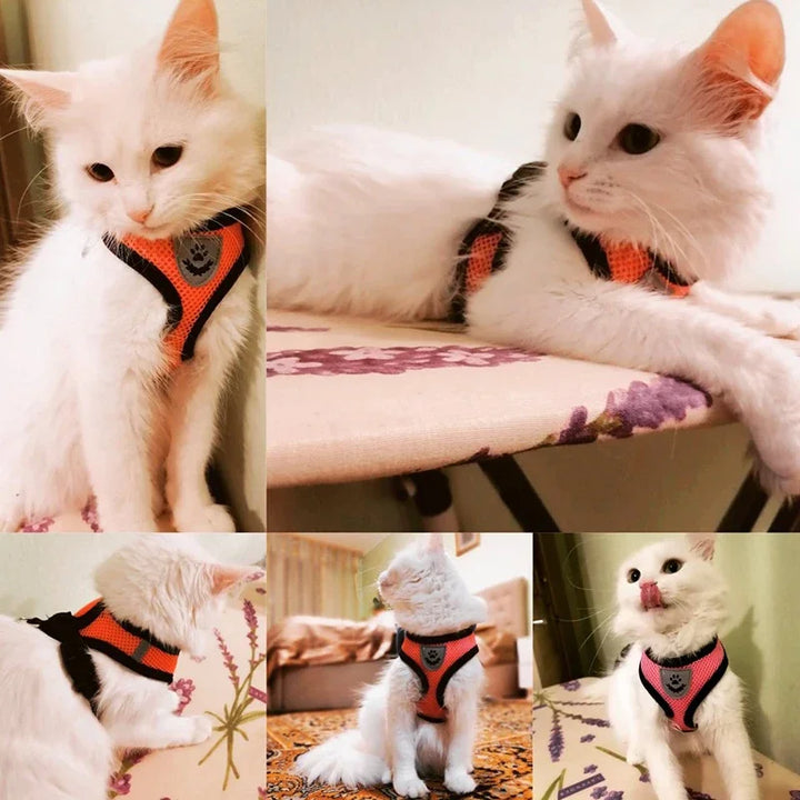 Summer Cat Dog Harness Lead Leash Adjustable Vest Polyester Mesh Breathable Harnesses Reflective for Small Dog Cat Lesah