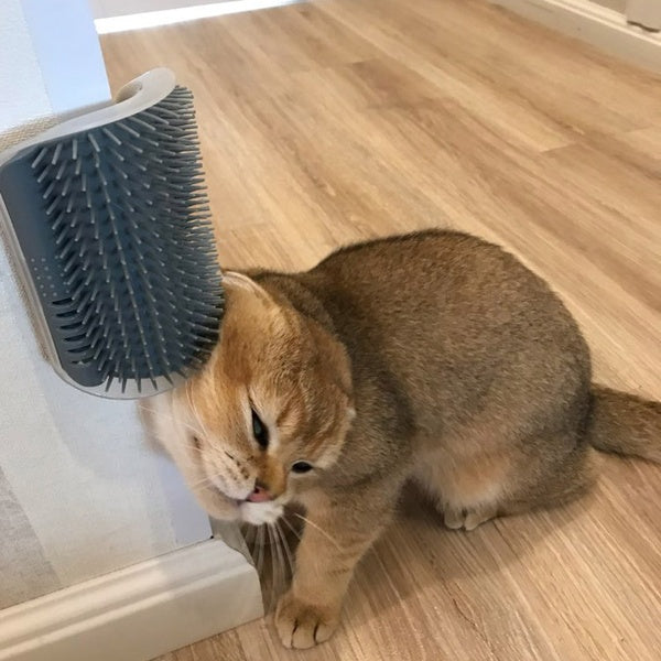 Zelfverzorgingsborstel voor katten, wandwrijfapparaat voor huisdieren